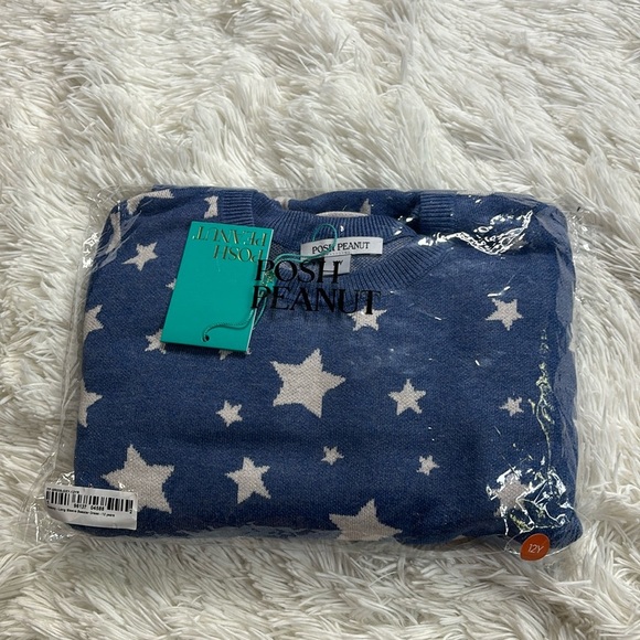 Posh Peanut Galaxy Long Sleeve Sweater Dress - Picture 8 of 8